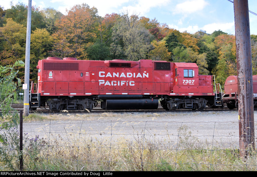 CP 7307